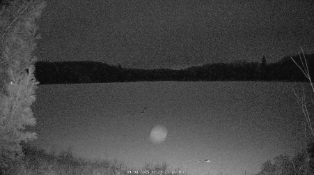 Image from 2025-04-08