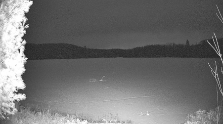 Image from 2025-04-08