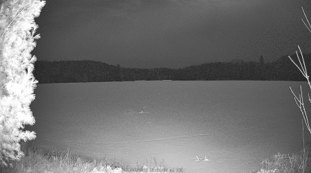 Image from 2025-04-09