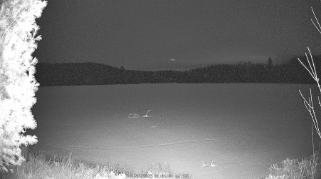 Image from 2025-04-09