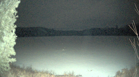 Image from 2025-04-09