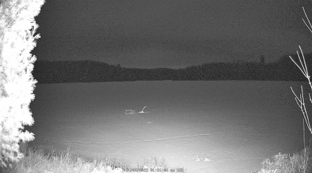 Image from 2025-04-09