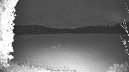 Image from 2025-04-09