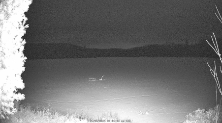 Image from 2025-04-09