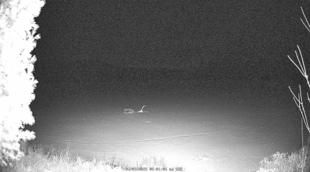 Image from 2025-04-09