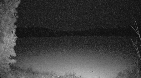 Image from 2025-04-09