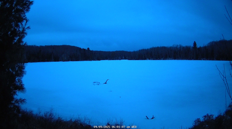 Image from 2025-04-09