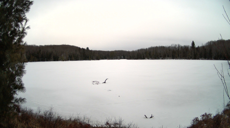 Image from 2025-04-09