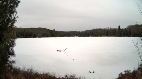 Image from 2025-04-09