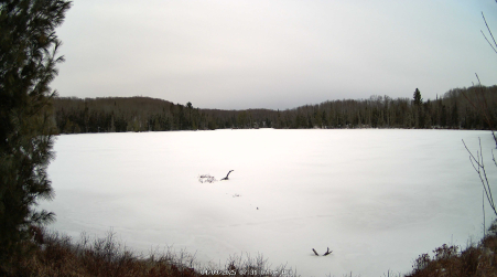 Image from 2025-04-09