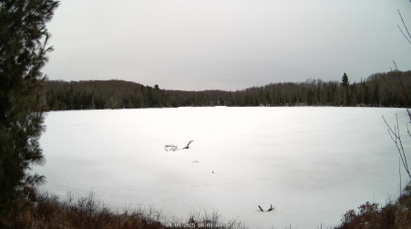 Image from 2025-04-09