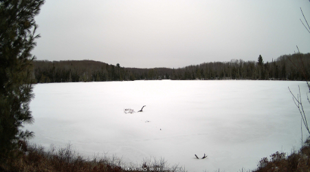 Image from 2025-04-09