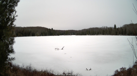 Image from 2025-04-09