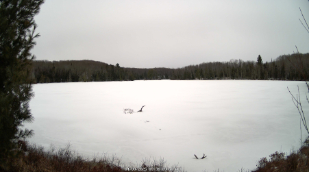 Image from 2025-04-09