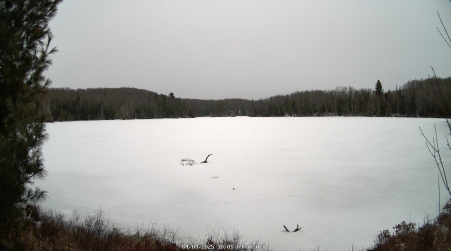 Image from 2025-04-09