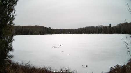 Image from 2025-04-09