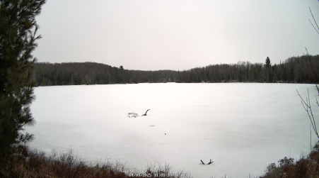 Image from 2025-04-09