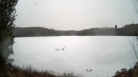 Image from 2025-04-09
