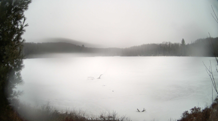 Image from 2025-04-09