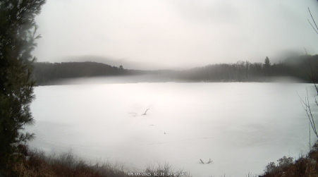 Image from 2025-04-09