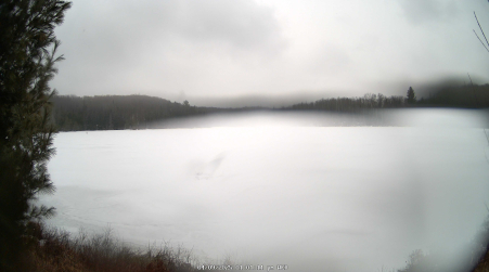Image from 2025-04-09
