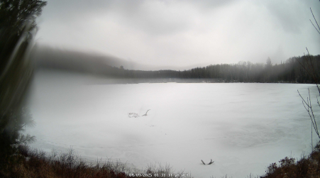 Image from 2025-04-09