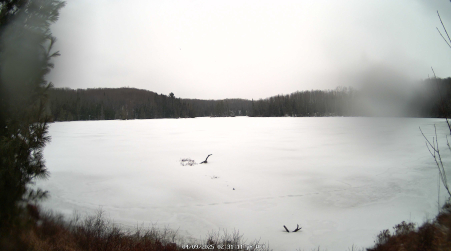 Image from 2025-04-09