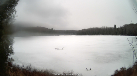 Image from 2025-04-09