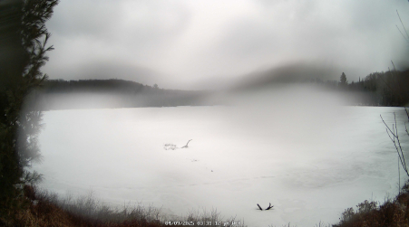 Image from 2025-04-09