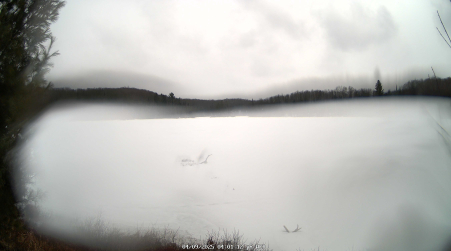 Image from 2025-04-09