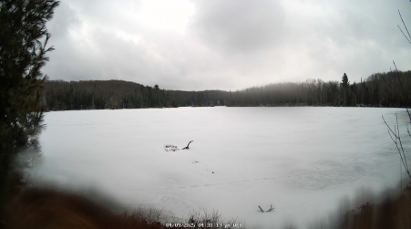 Image from 2025-04-09