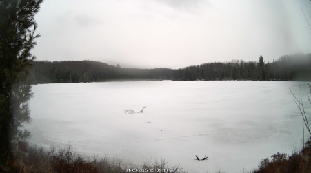 Image from 2025-04-09