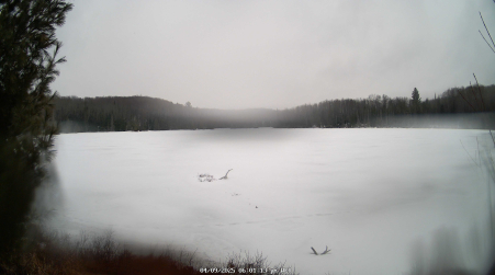 Image from 2025-04-09