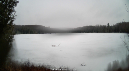 Image from 2025-04-09
