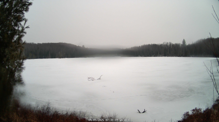 Image from 2025-04-09