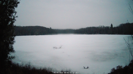 Image from 2025-04-09