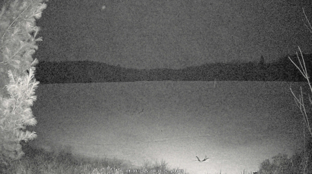 Image from 2025-04-09