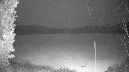 Image from 2025-04-09