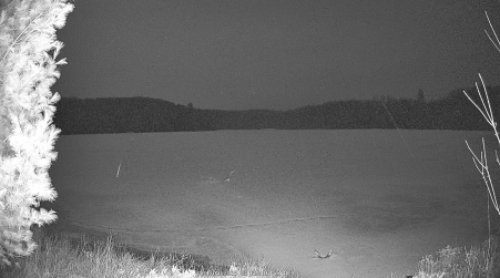 Image from 2025-04-09