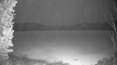 Image from 2025-04-09