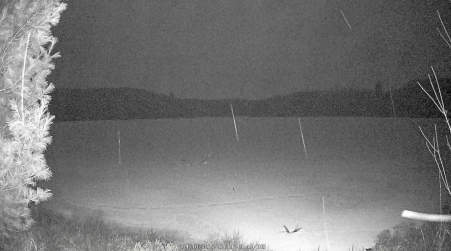 Image from 2025-04-10