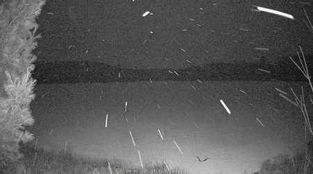 Image from 2025-04-10