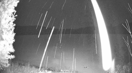Image from 2025-04-10