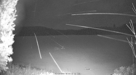 Image from 2025-04-10