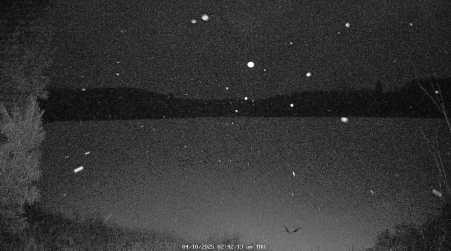 Image from 2025-04-10
