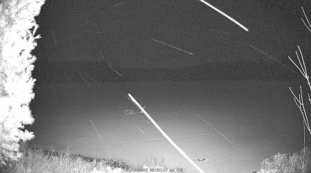 Image from 2025-04-10