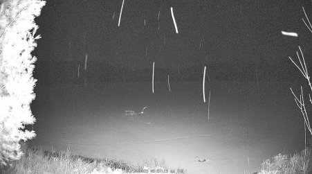 Image from 2025-04-10