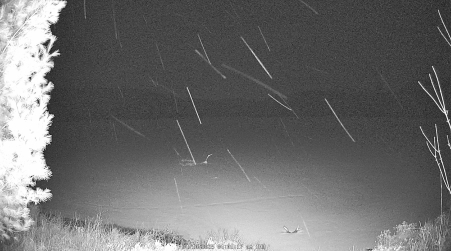 Image from 2025-04-10