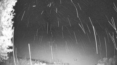 Image from 2025-04-10