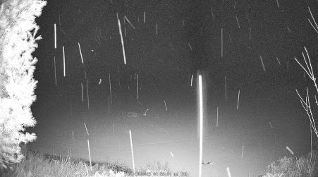Image from 2025-04-10